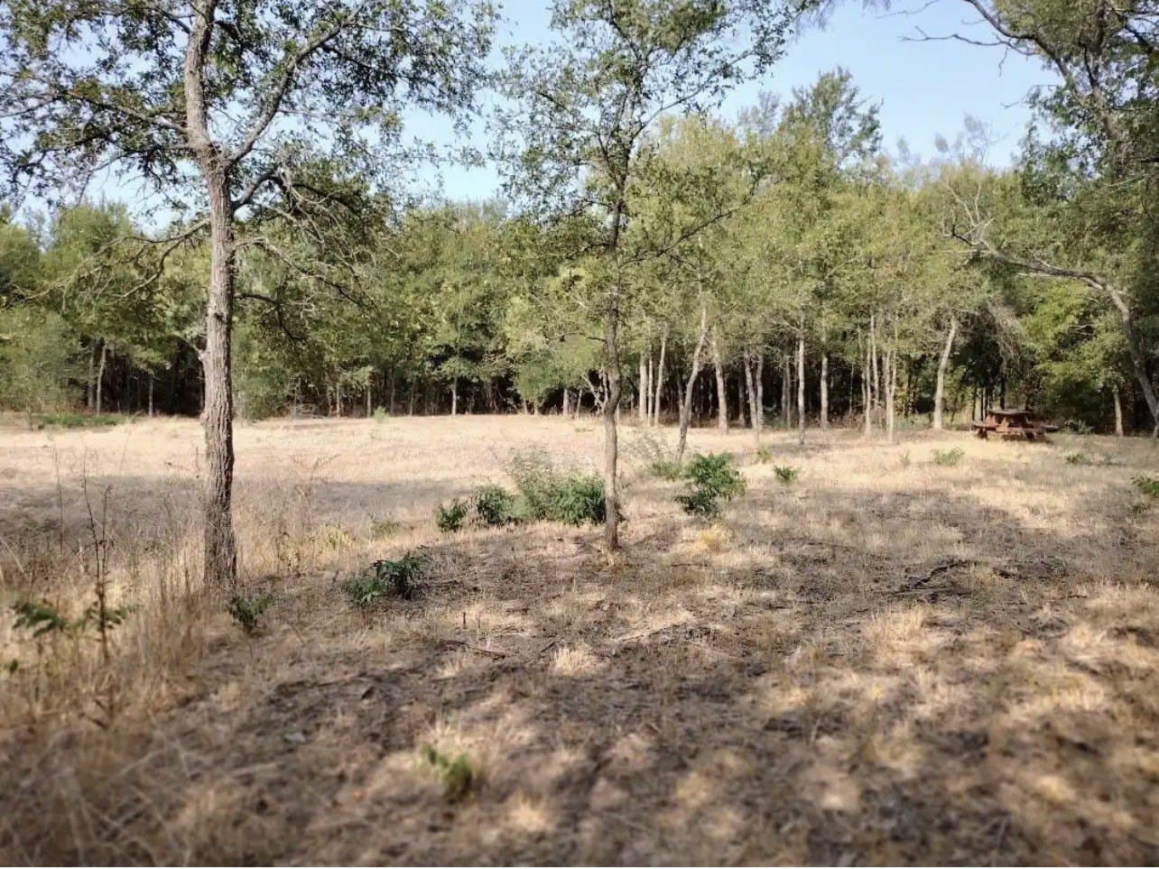 1.41 acres in Hunt County - photo 11