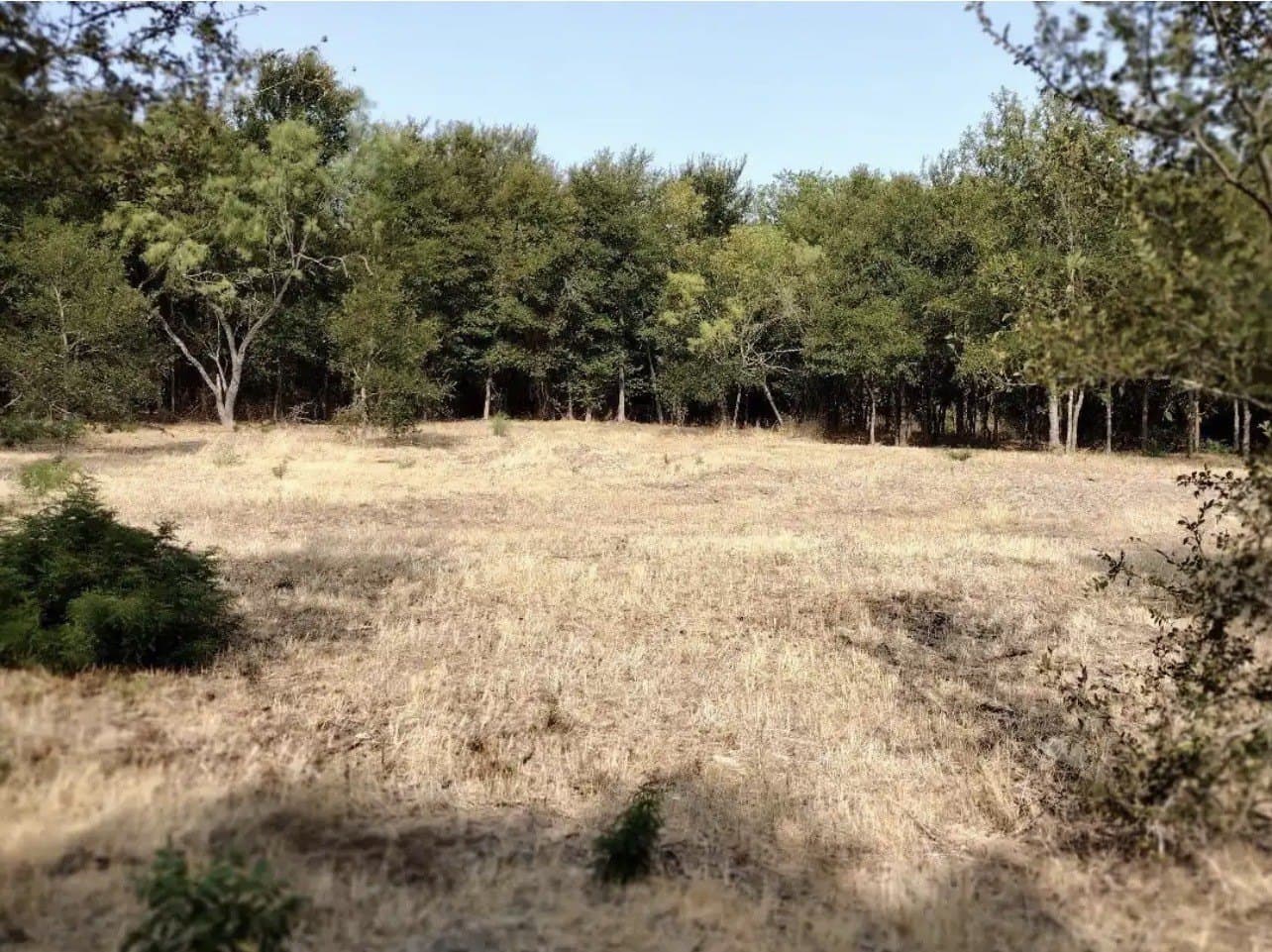 1.41 acres in Hunt County - photo 6