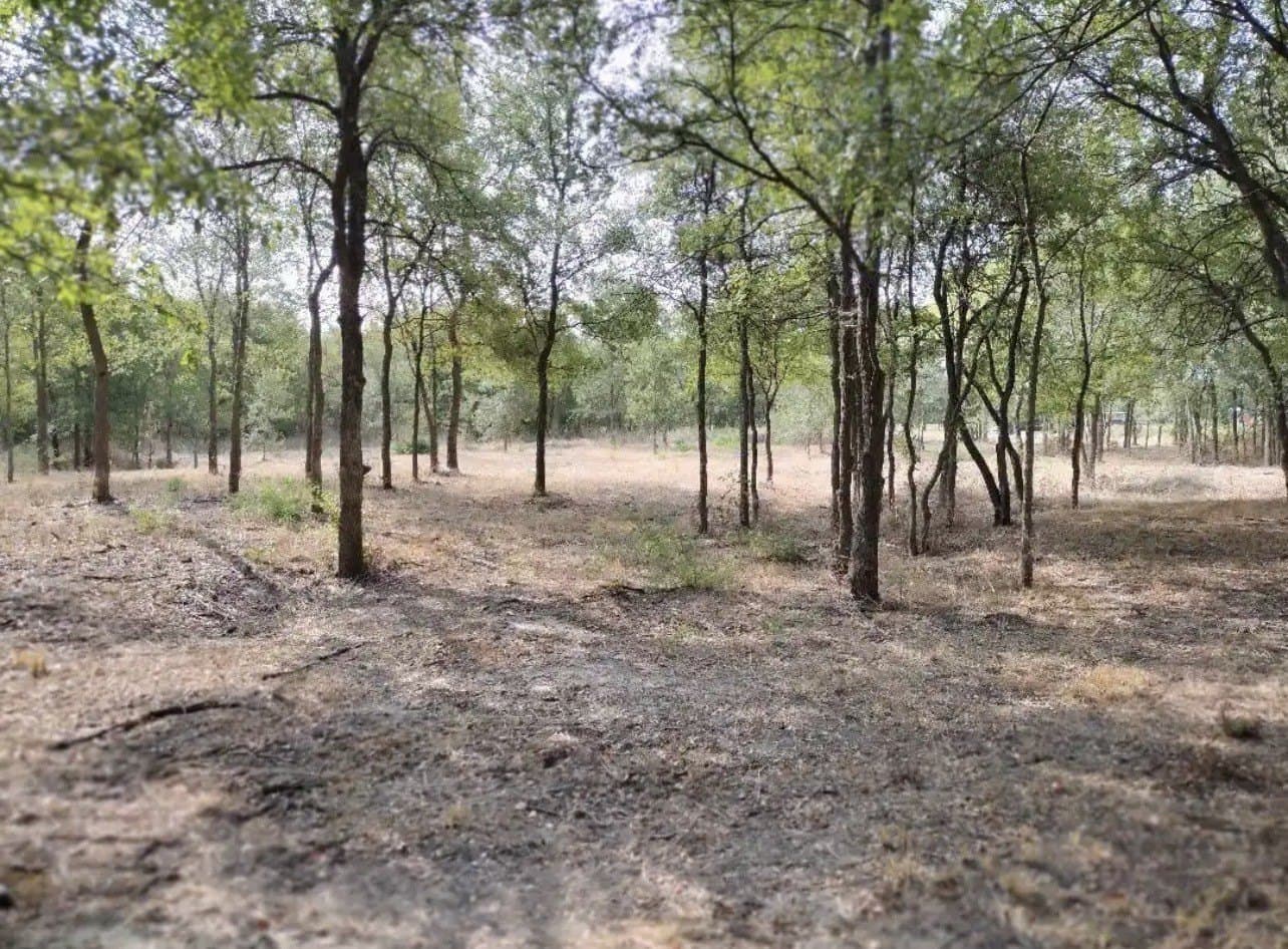 1.41 acres in Hunt County - photo 15