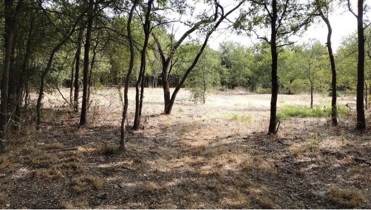 1.41 acres in Hunt County - photo 3