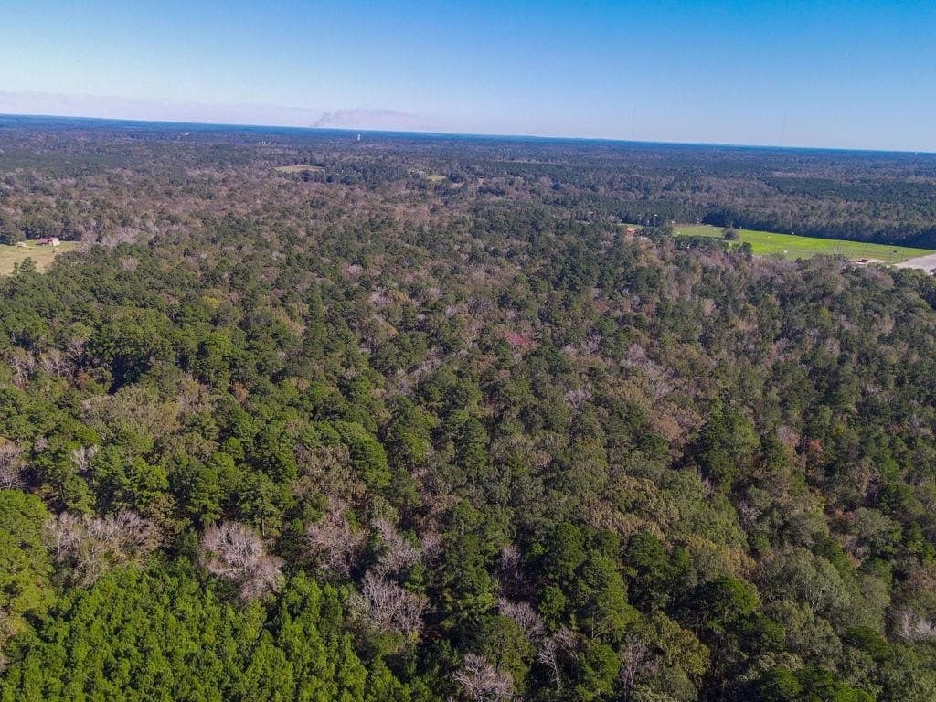 29.54 acres in Texas County - photo 9