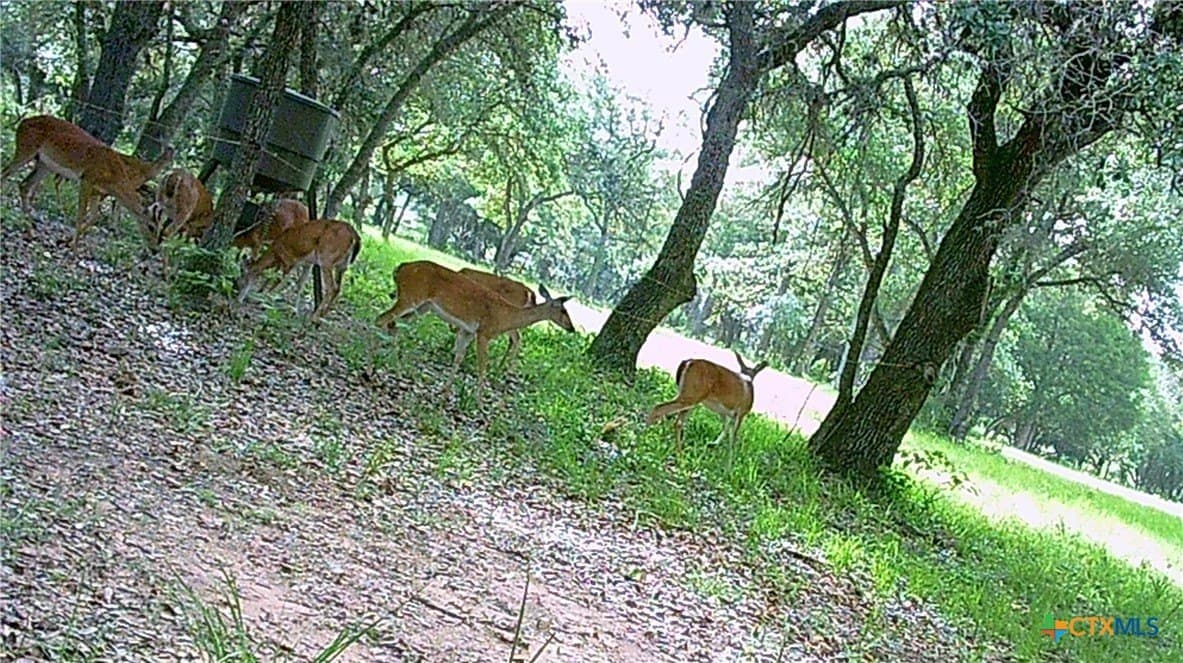 11.93 acres in Lavaca County - photo 44