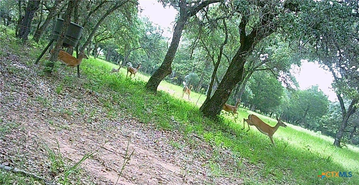 11.93 acres in Lavaca County - photo 45