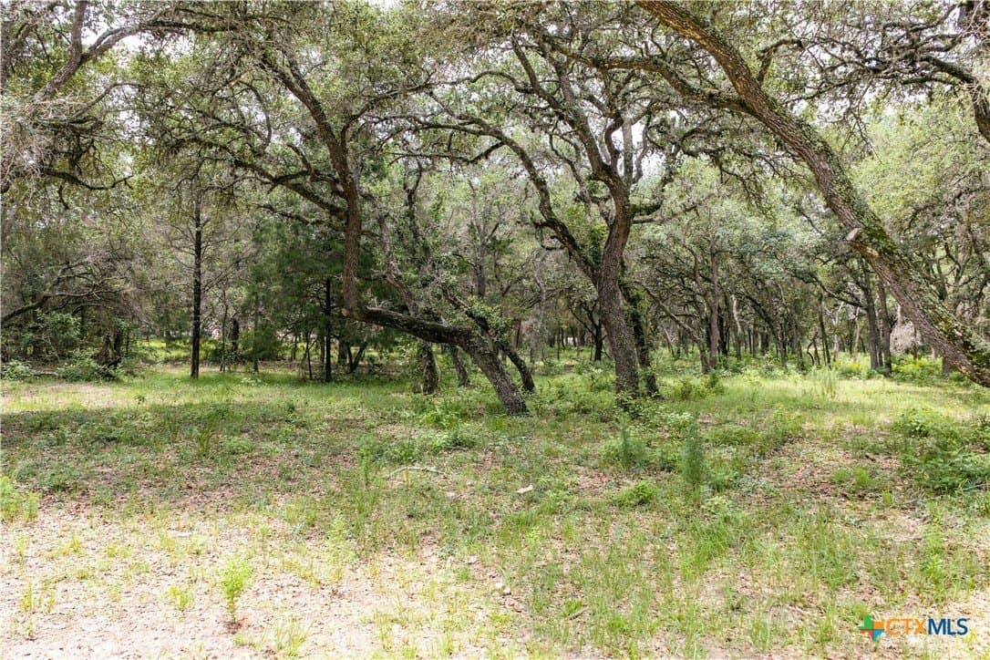 11.93 acres in Lavaca County - photo 26