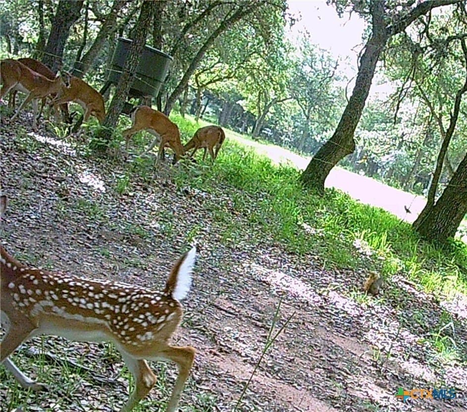 11.93 acres in Lavaca County - photo 46