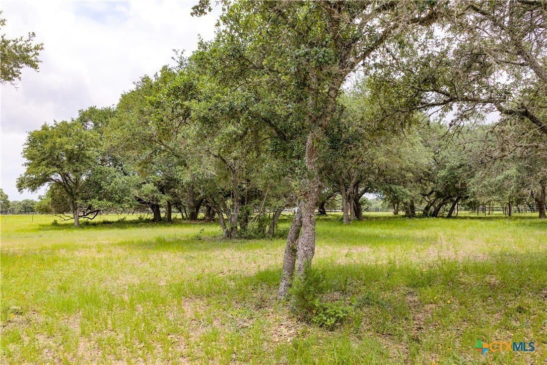 11.93 acres in Lavaca County - photo 13