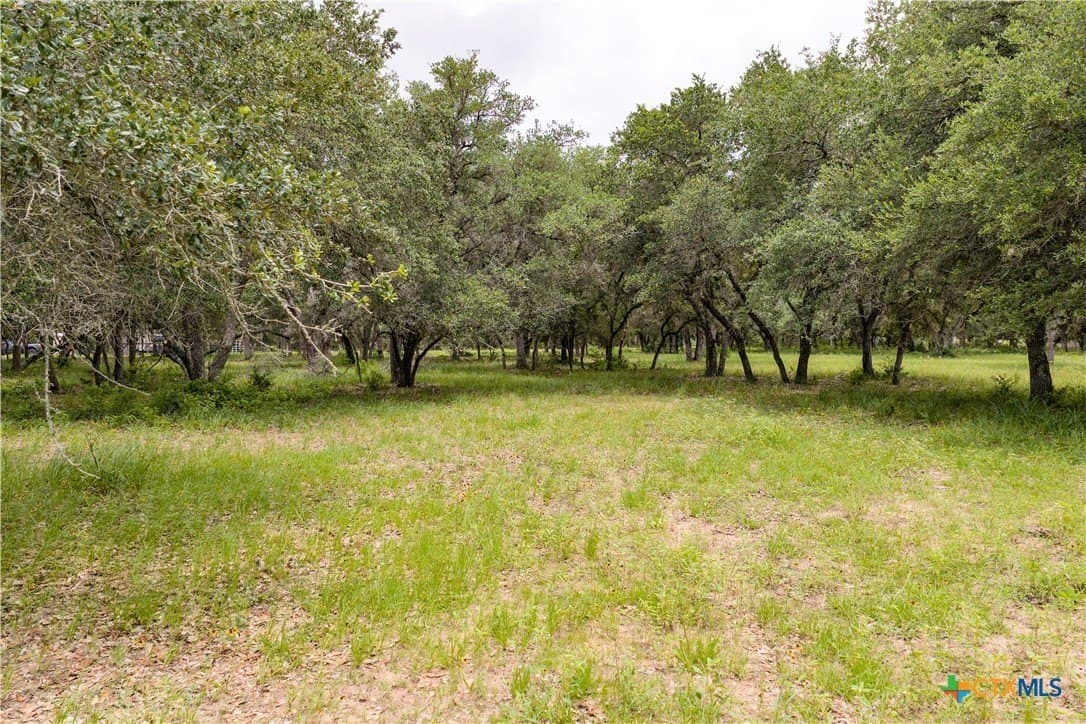 11.93 acres in Lavaca County - photo 12
