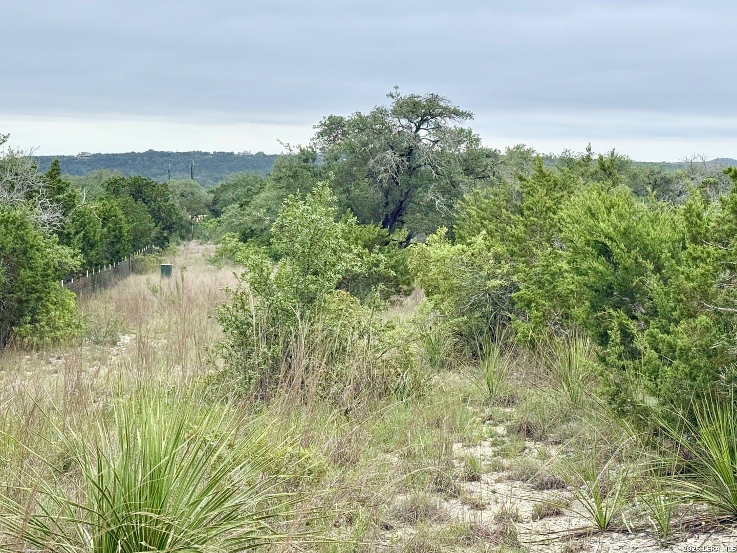 10.3 acres in Bexar County - photo 20