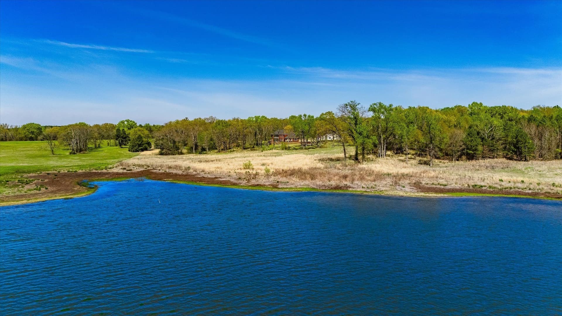 25.78 acres in Titus County gallery image 3