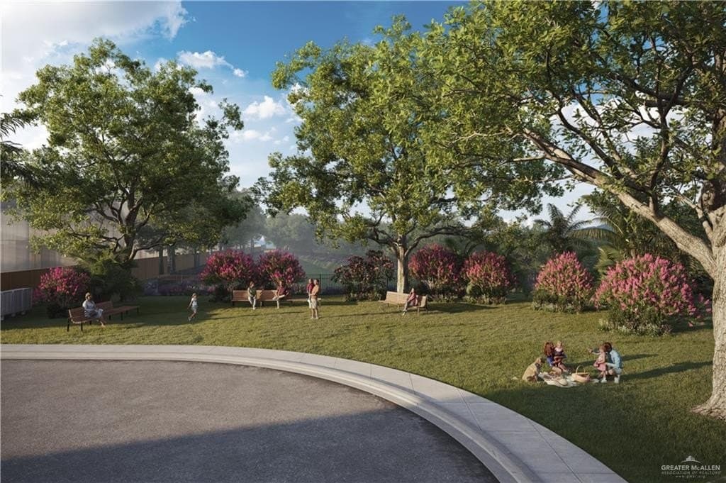 0.09 acres in Hidalgo County gallery image 4