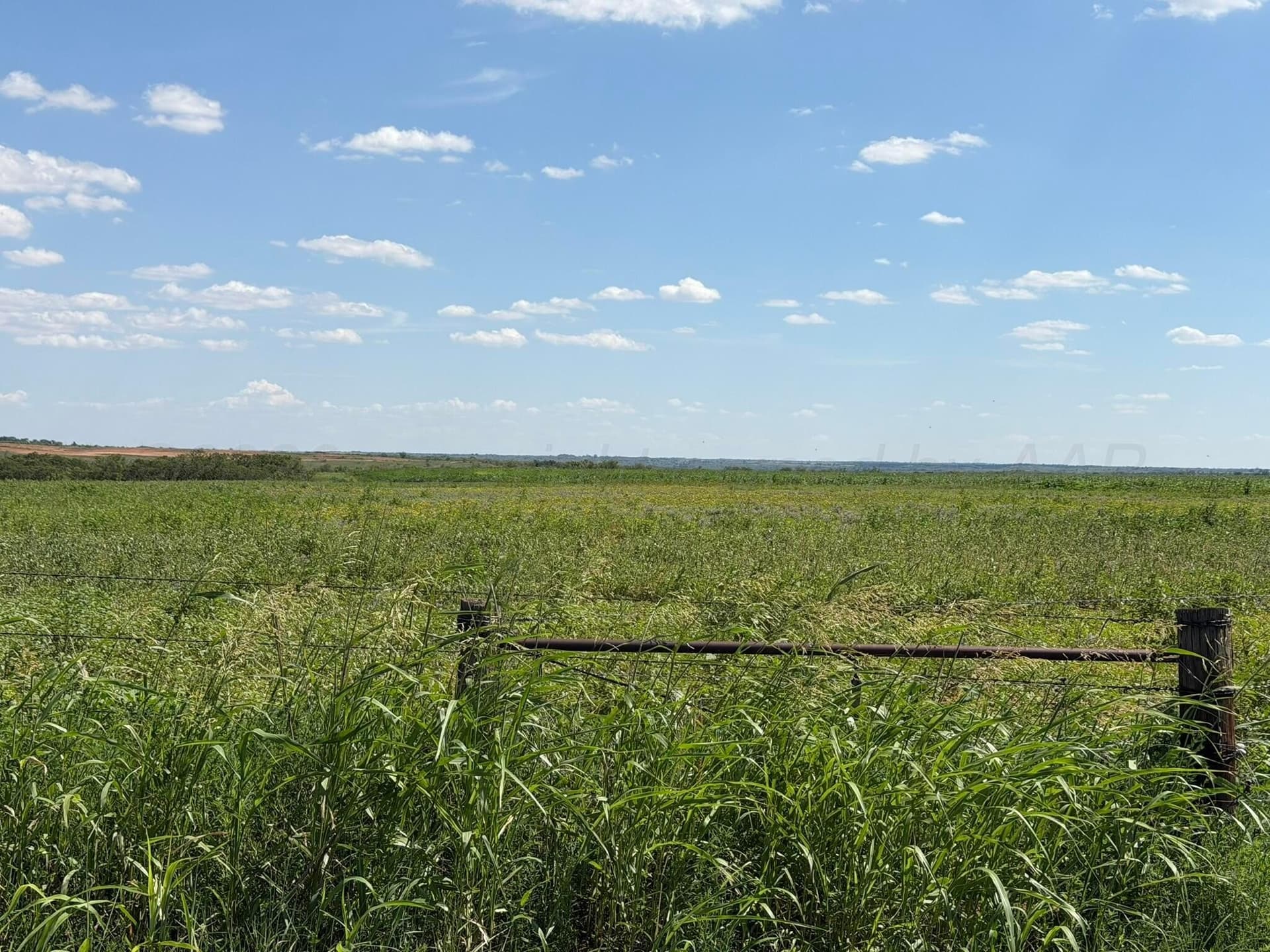 140 acres in Collingsworth County - photo 12