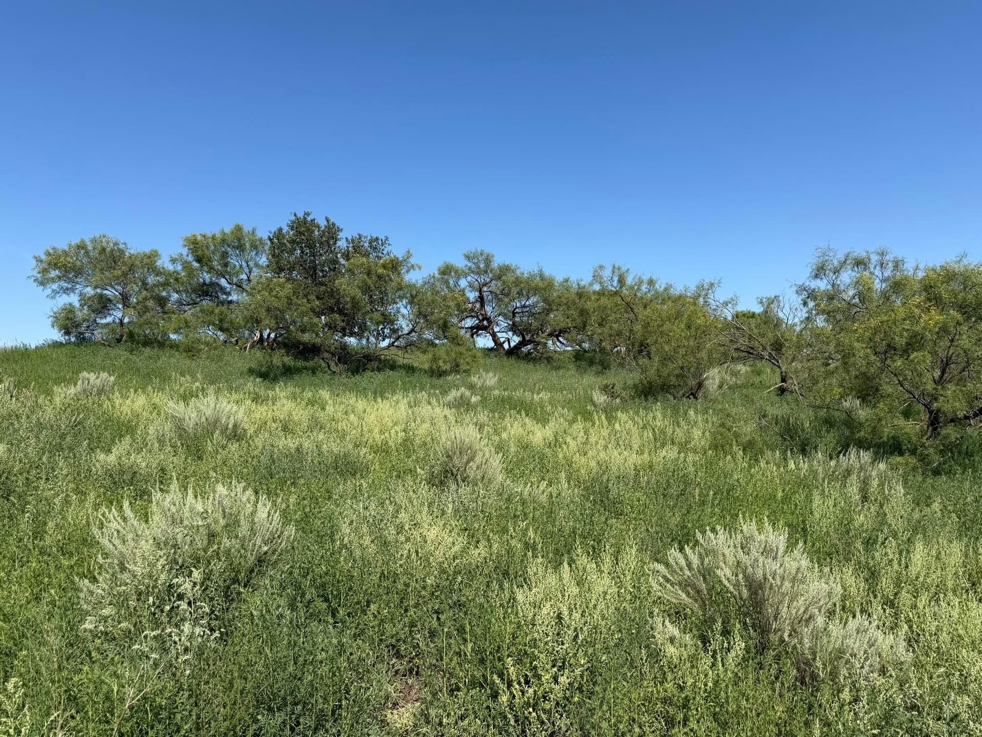140 acres in Collingsworth County - photo 34