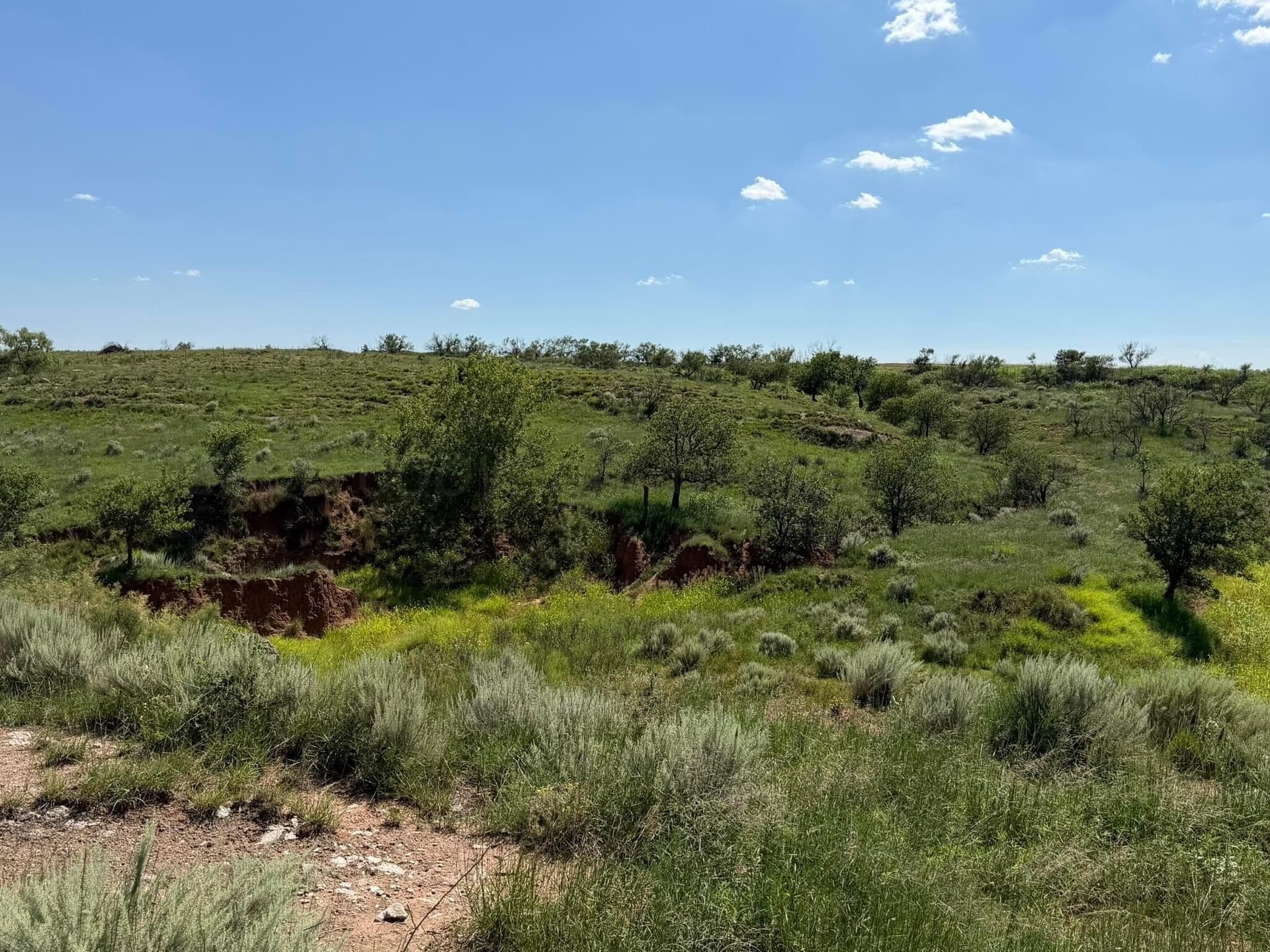140 acres in Collingsworth County - photo 28