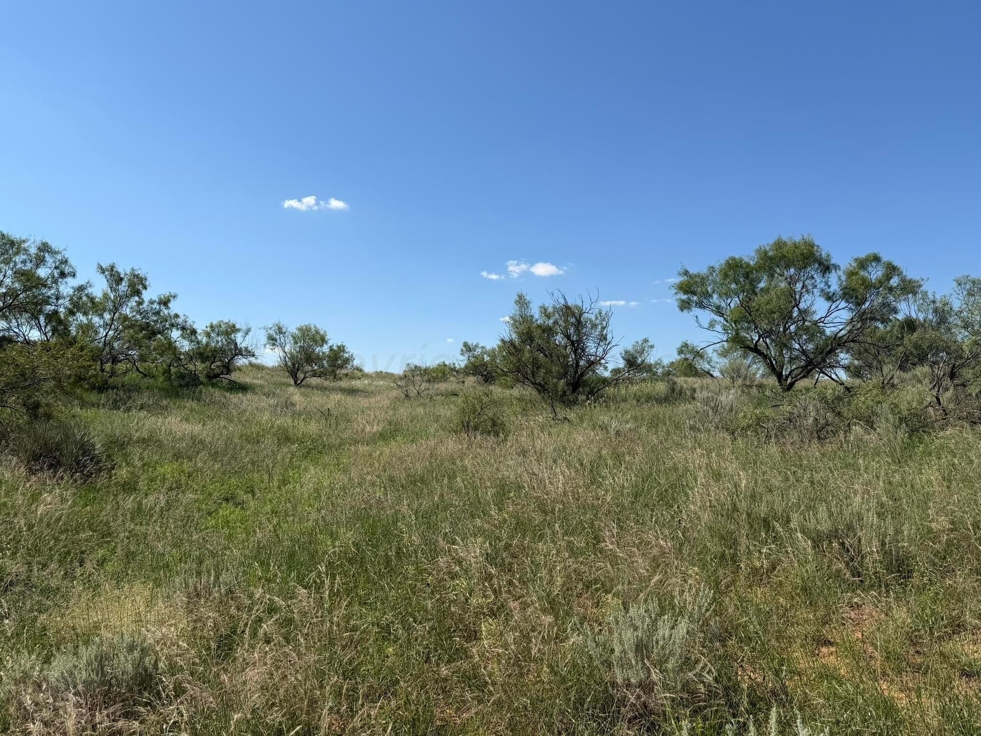 140 acres in Collingsworth County - photo 37
