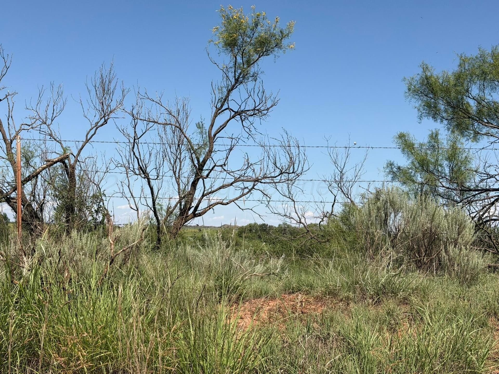 140 acres in Collingsworth County - photo 21