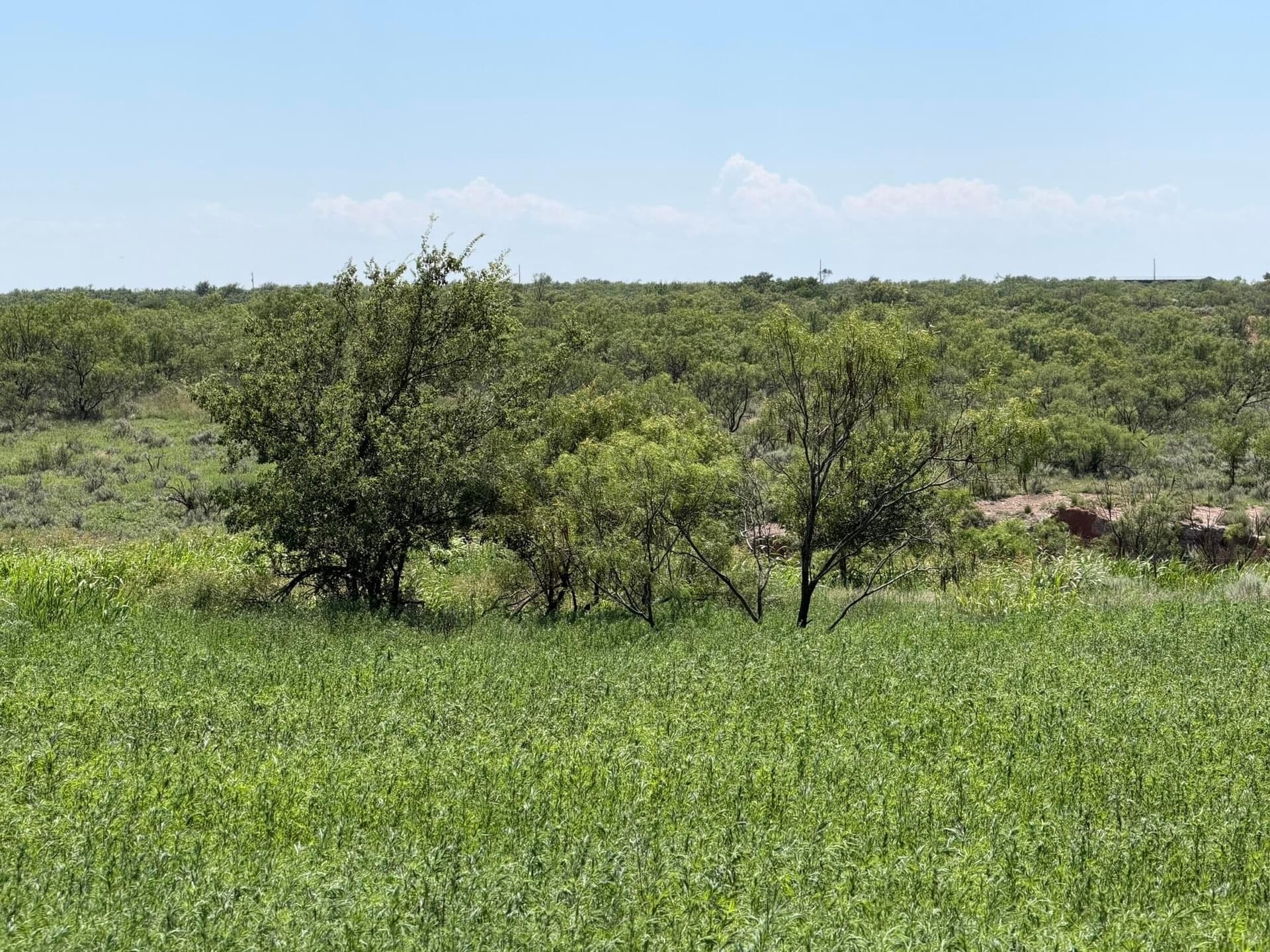 140 acres in Collingsworth County - photo 10
