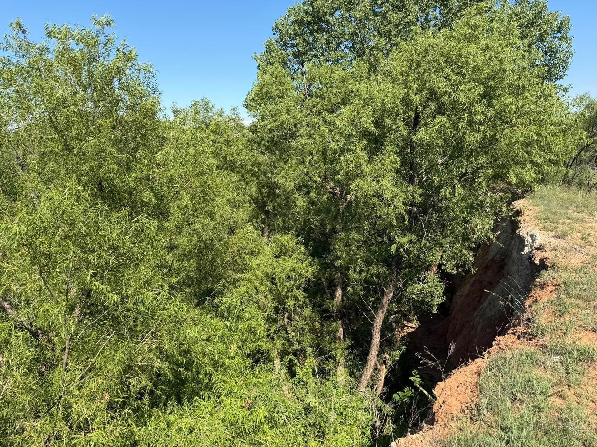 140 acres in Collingsworth County - photo 47