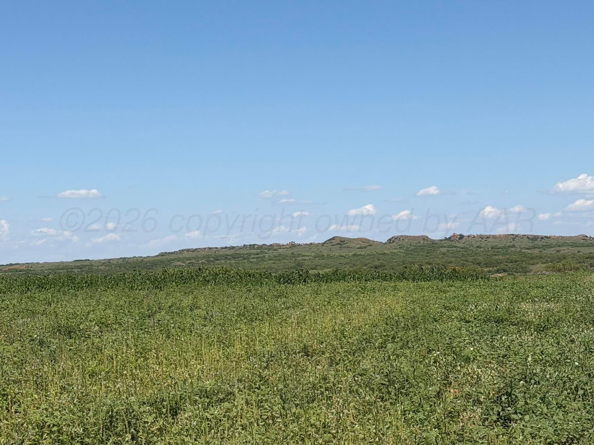 140 acres in Collingsworth County - photo 35