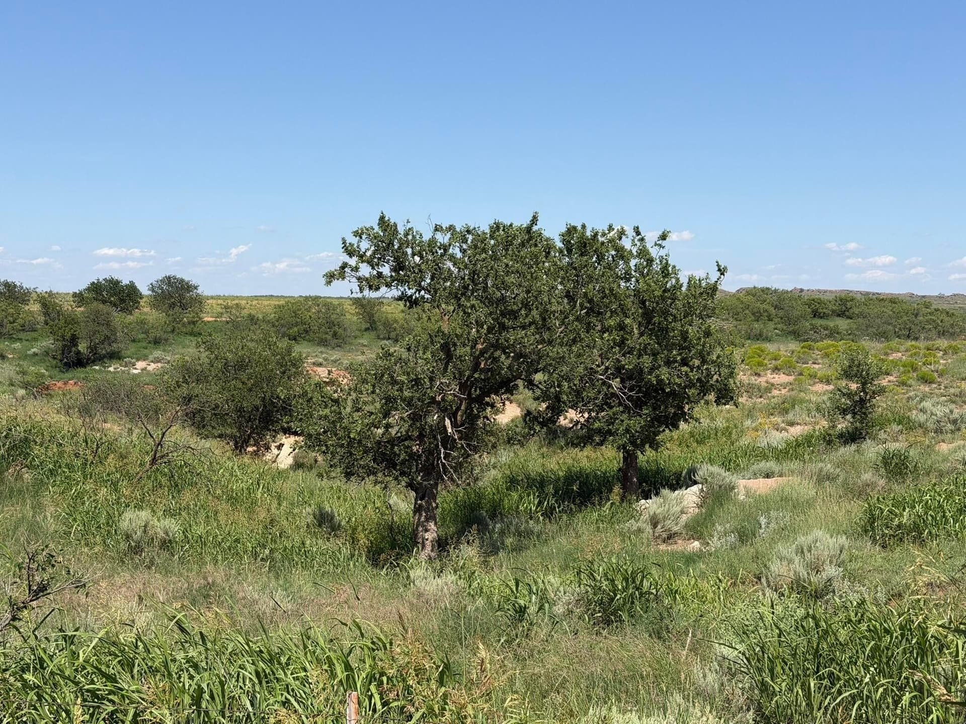 140 acres in Collingsworth County - photo 22