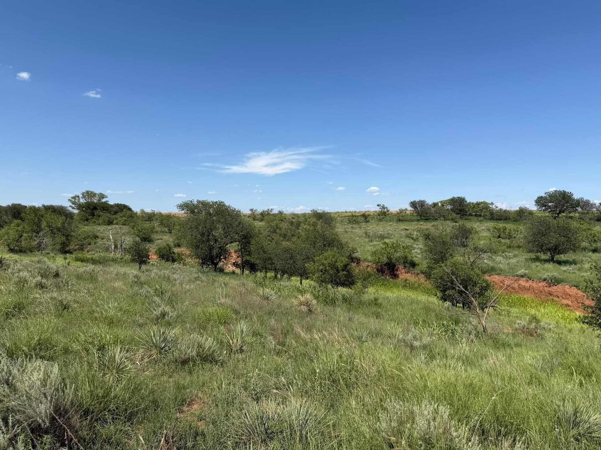 140 acres in Collingsworth County - photo 18