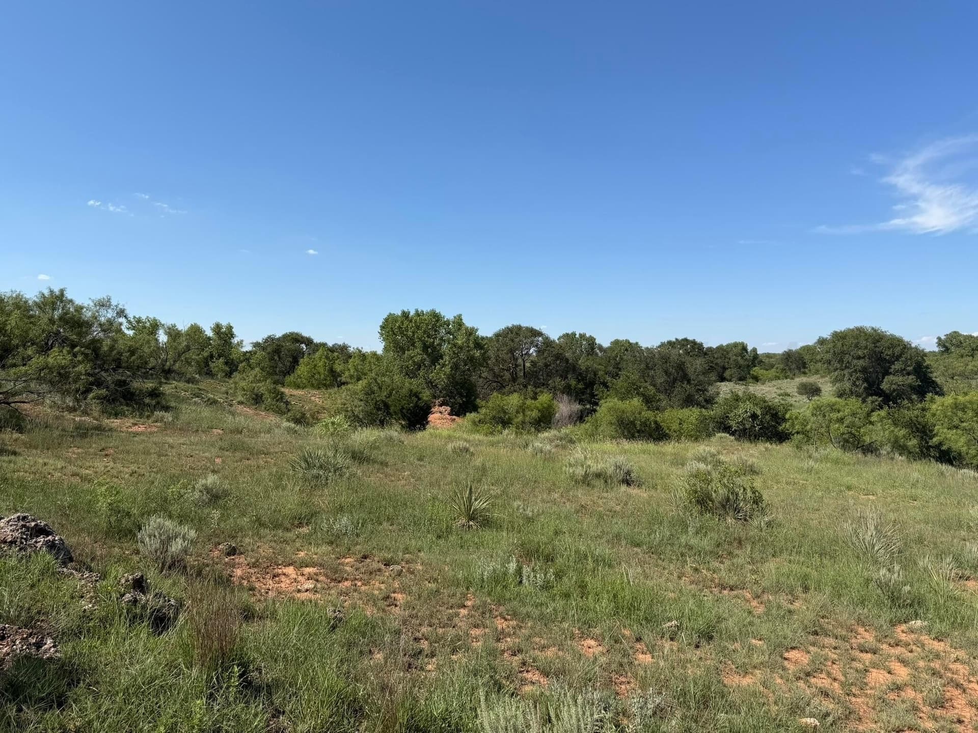 140 acres in Collingsworth County - photo 40