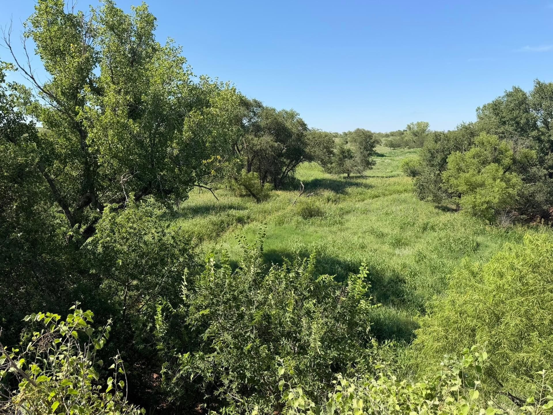 140 acres in Collingsworth County - photo 46