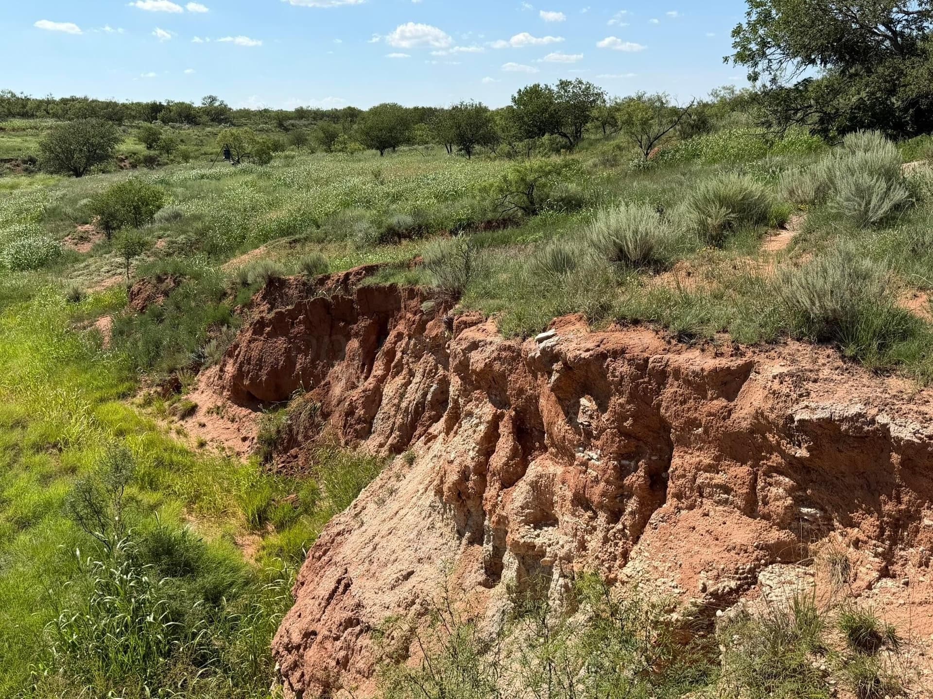 140 acres in Collingsworth County - photo 30