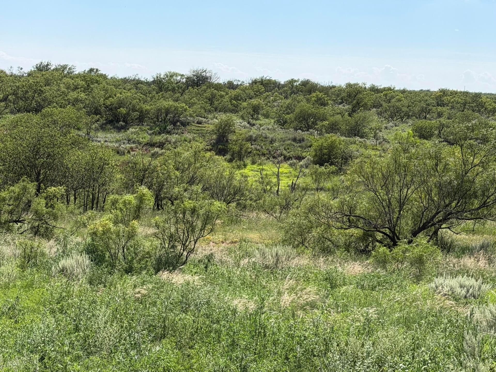 140 acres in Collingsworth County - photo 24