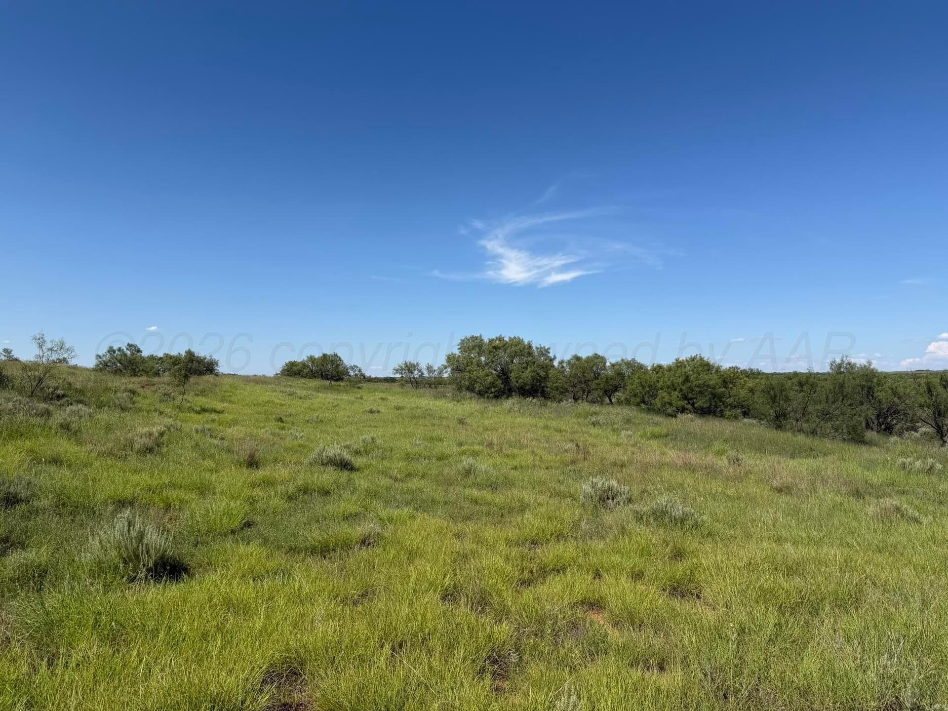 140 acres in Collingsworth County - photo 36