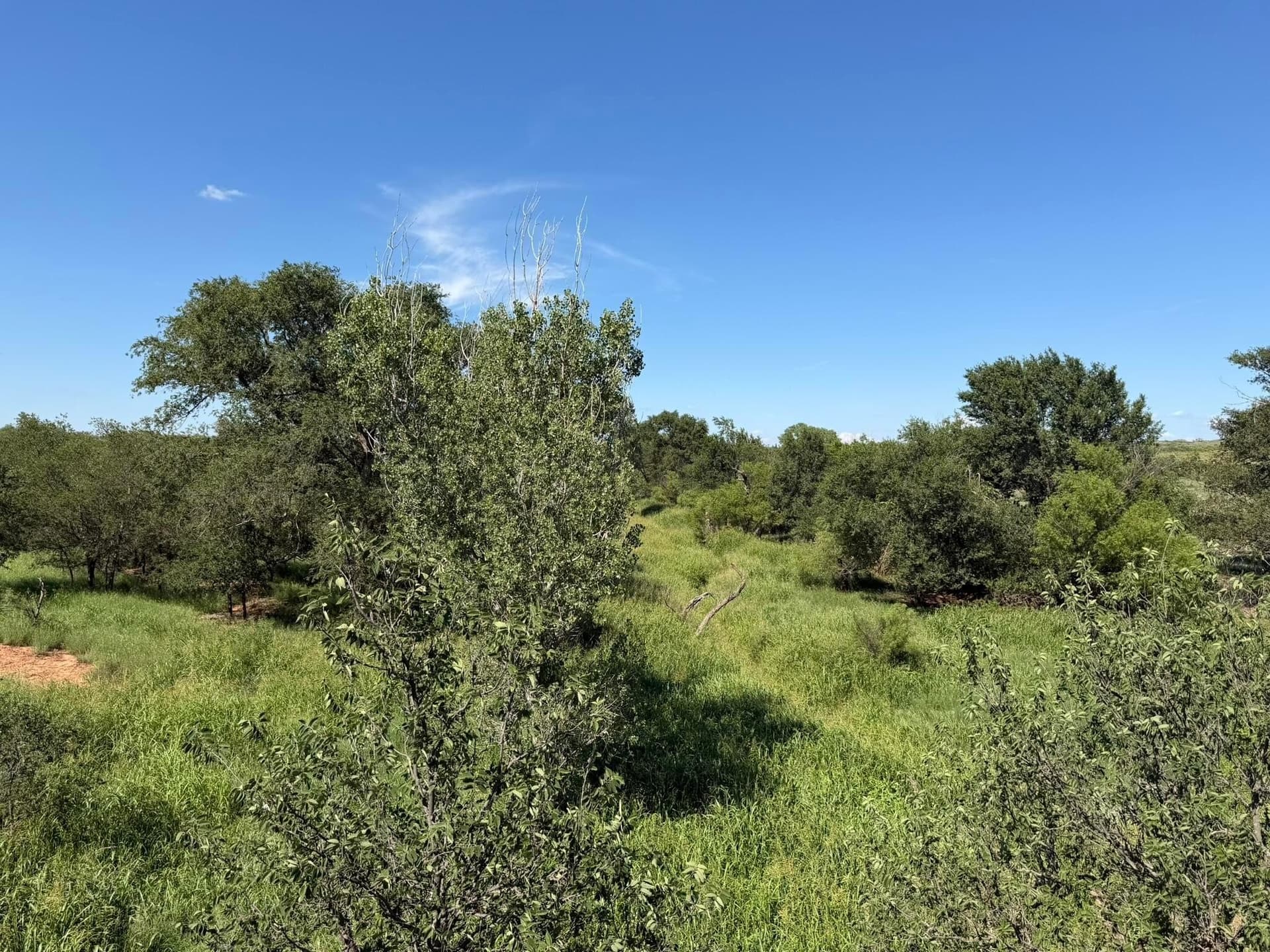 140 acres in Collingsworth County - photo 49