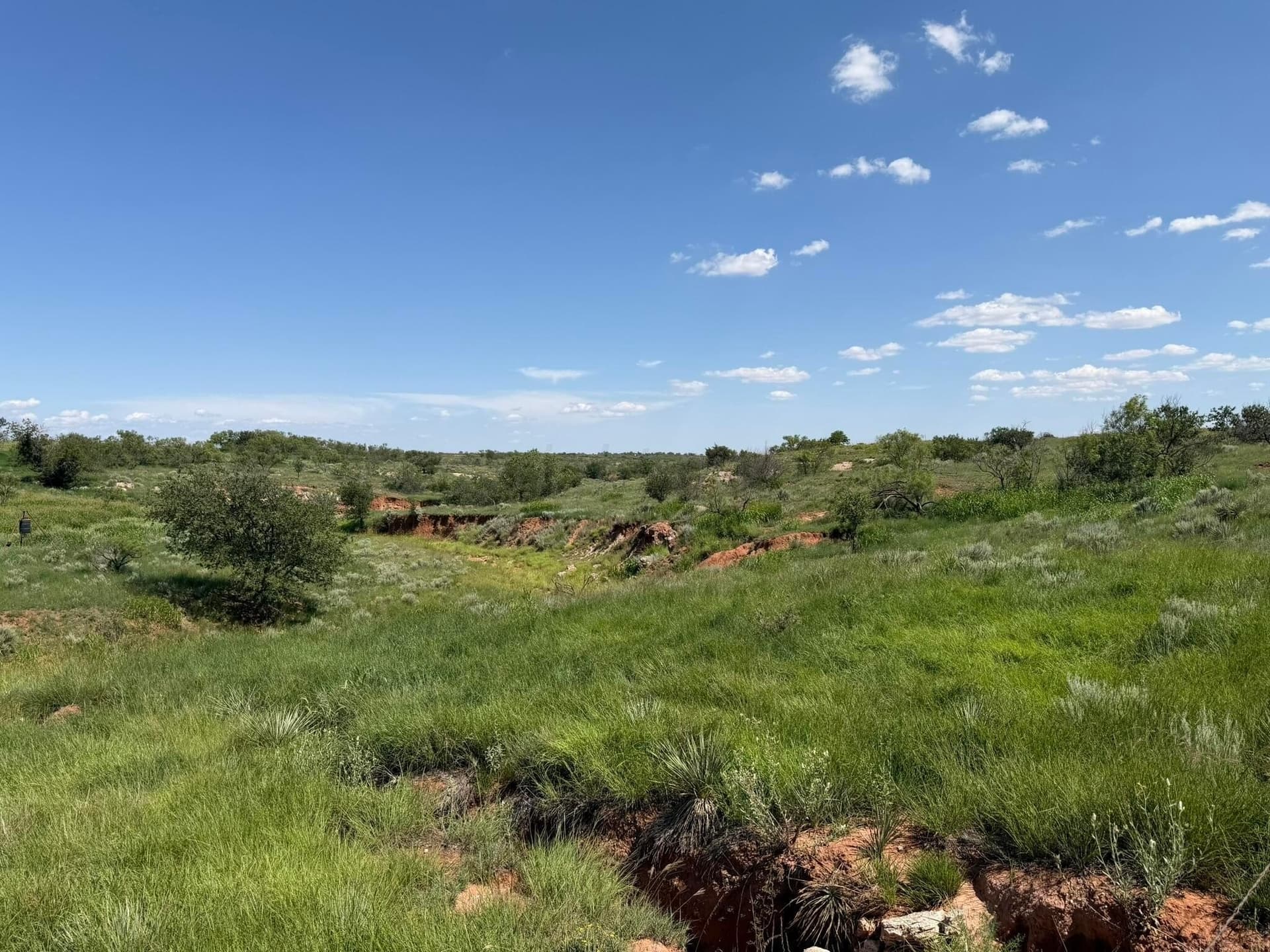 140 acres in Collingsworth County - photo 20