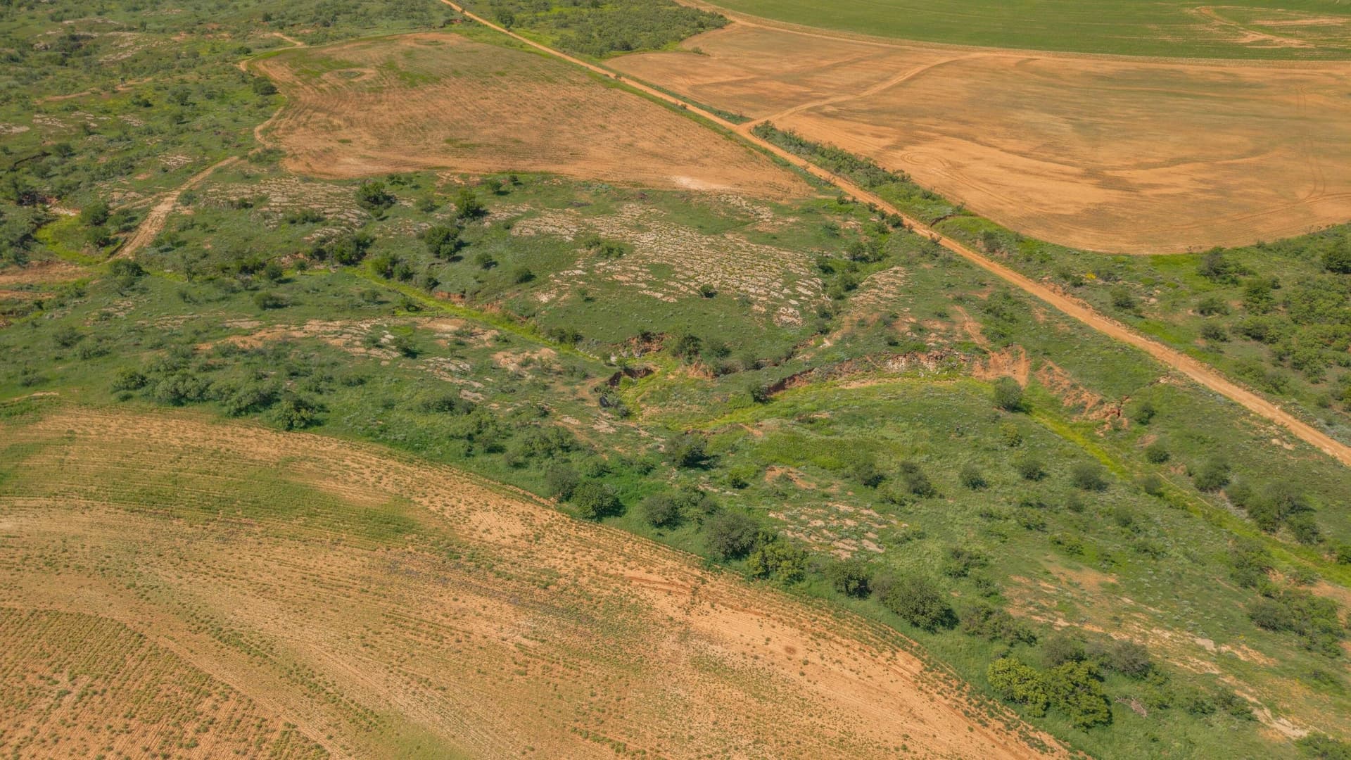 140 acres in Collingsworth County - photo 6