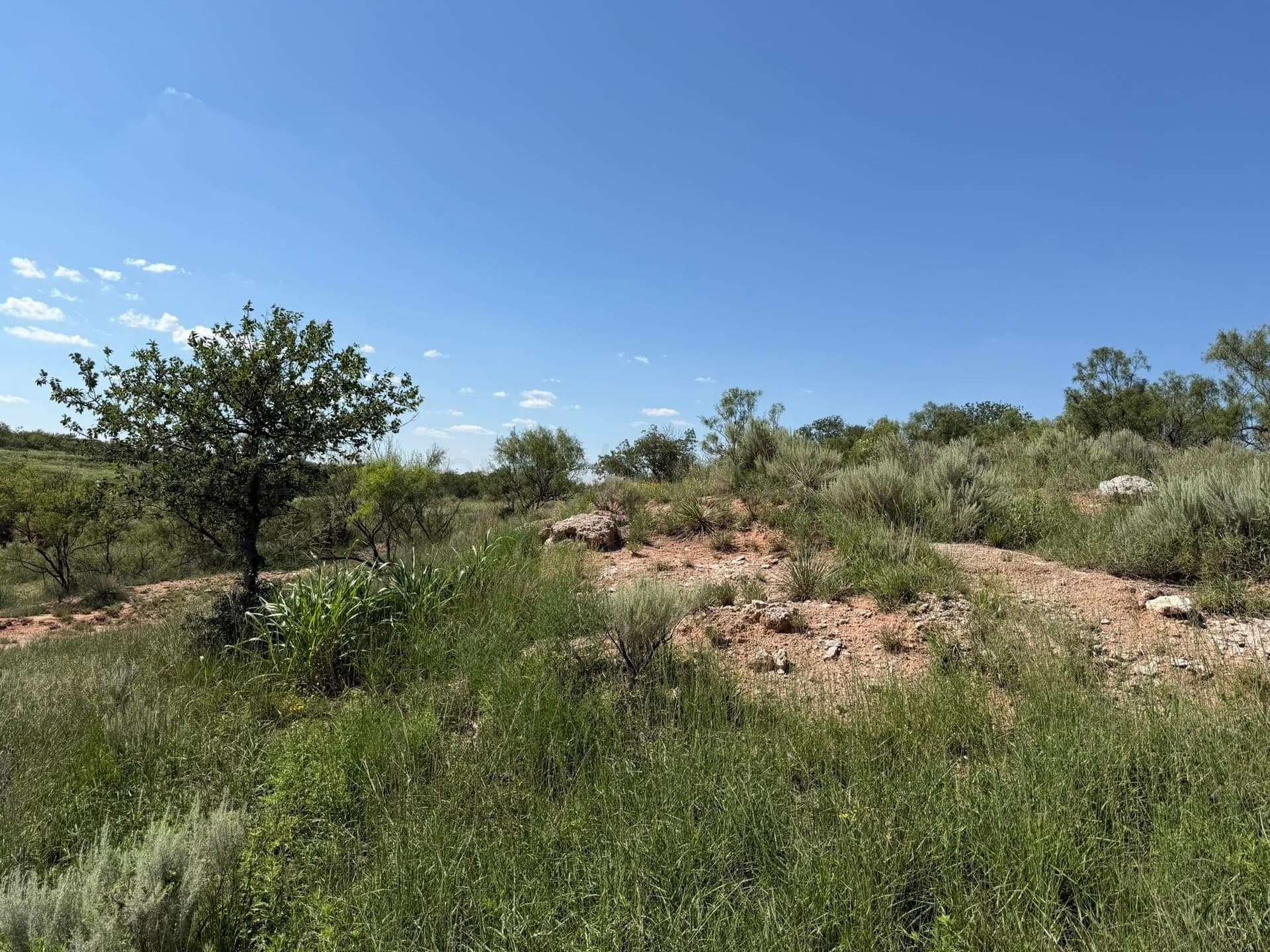140 acres in Collingsworth County - photo 33