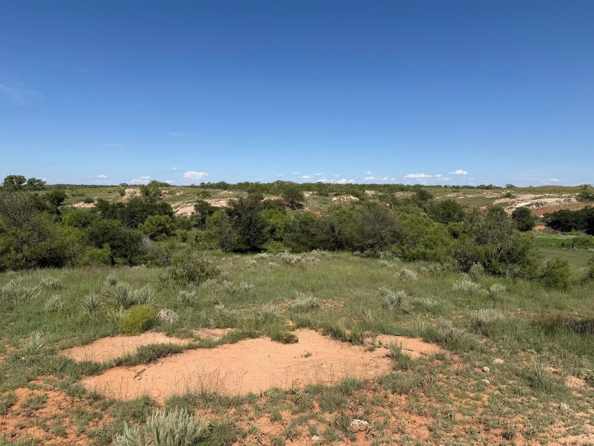 140 acres in Collingsworth County - photo 38