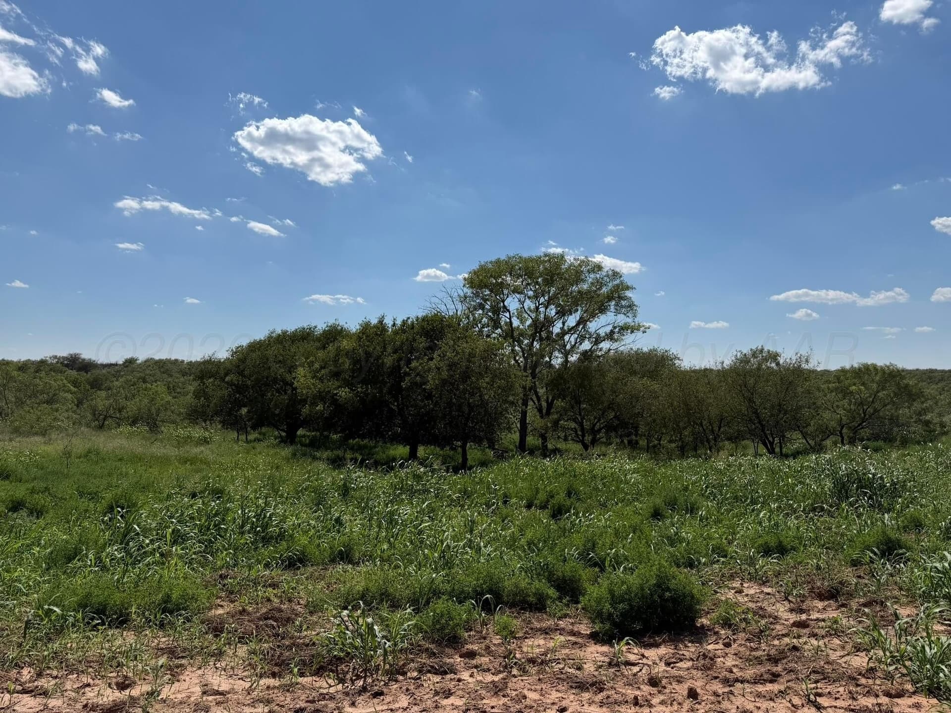140 acres in Collingsworth County - photo 23