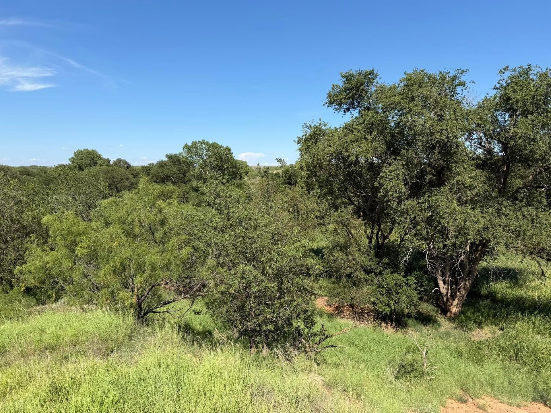 140 acres in Collingsworth County - photo 51