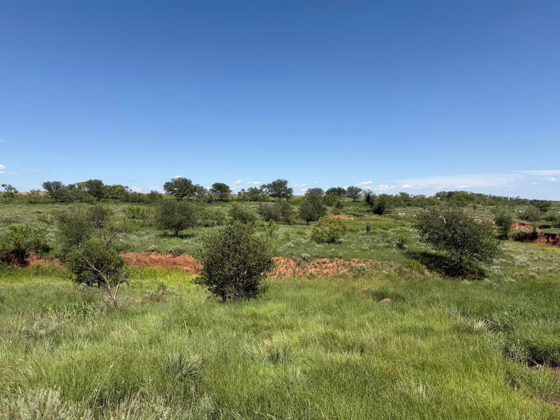 140 acres in Collingsworth County - photo 19