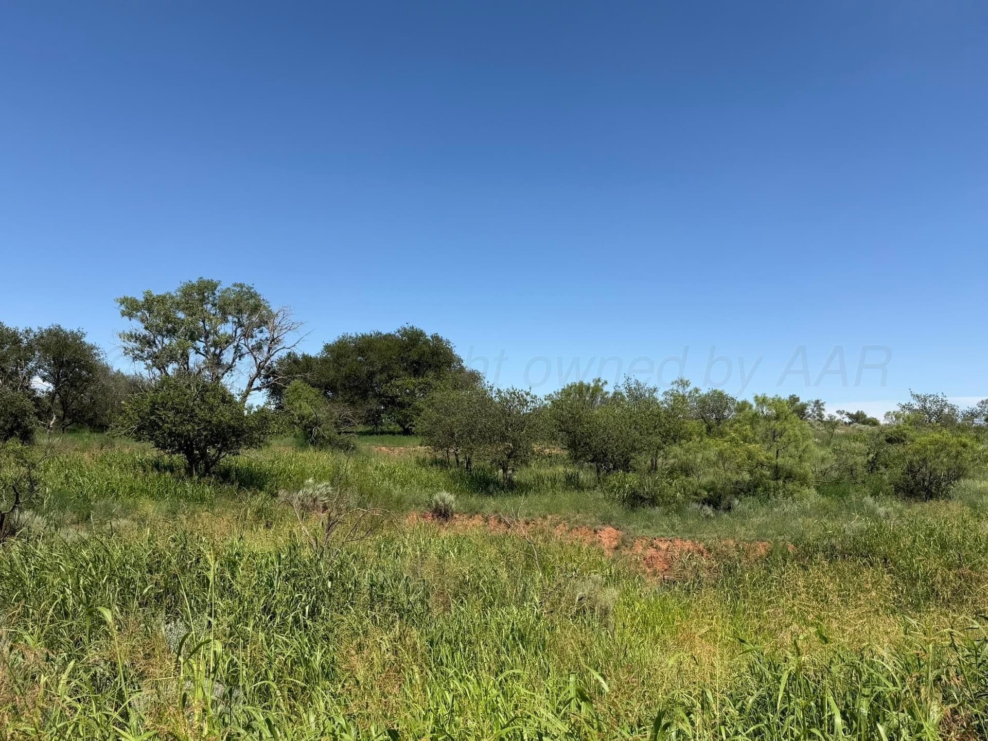 140 acres in Collingsworth County - photo 15