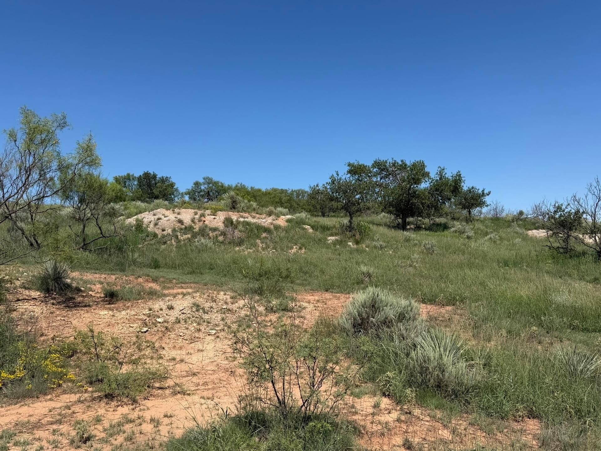 140 acres in Collingsworth County - photo 32
