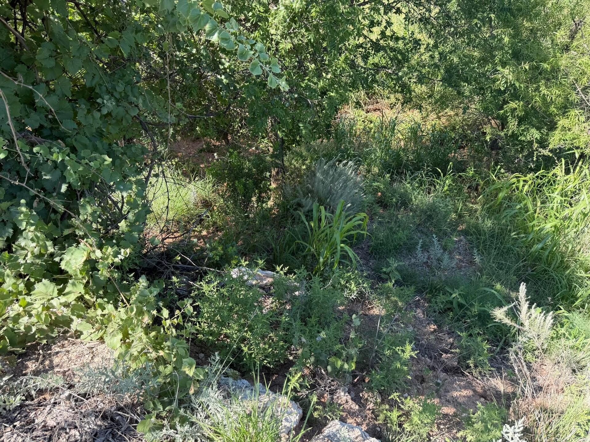 140 acres in Collingsworth County - photo 43