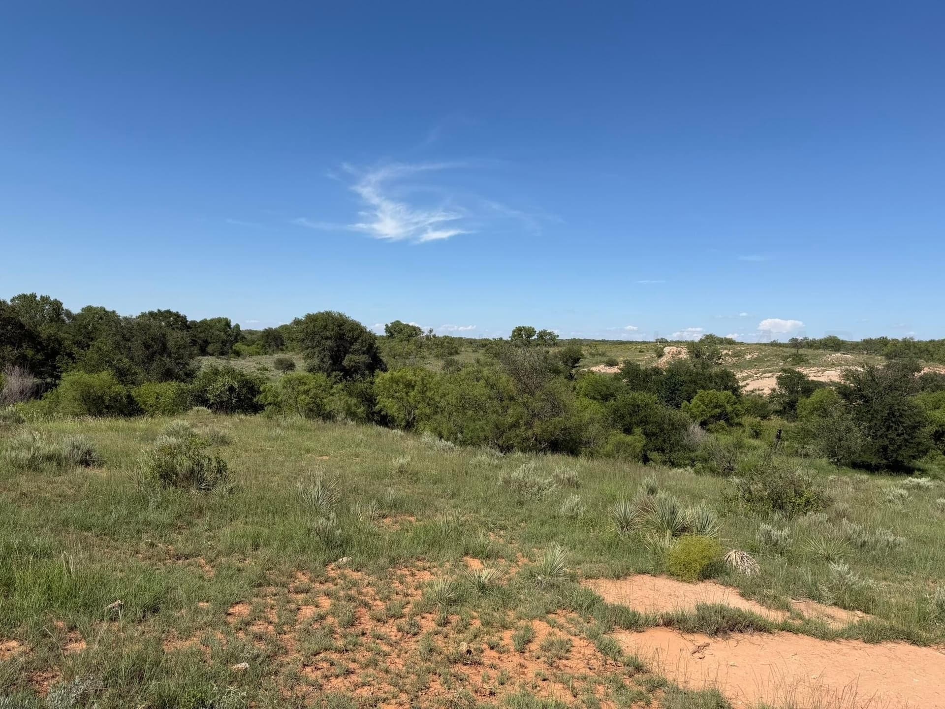 140 acres in Collingsworth County - photo 39