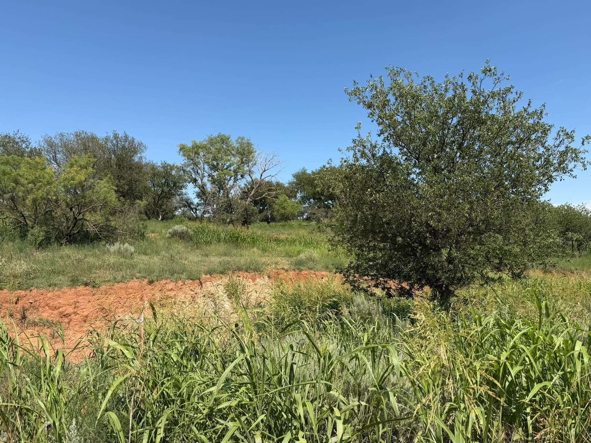140 acres in Collingsworth County - photo 14