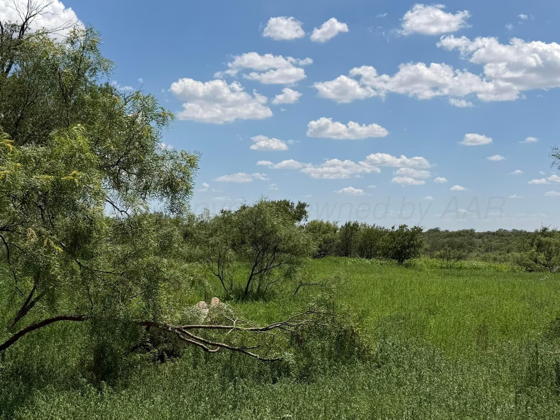 140 acres in Collingsworth County - photo 9