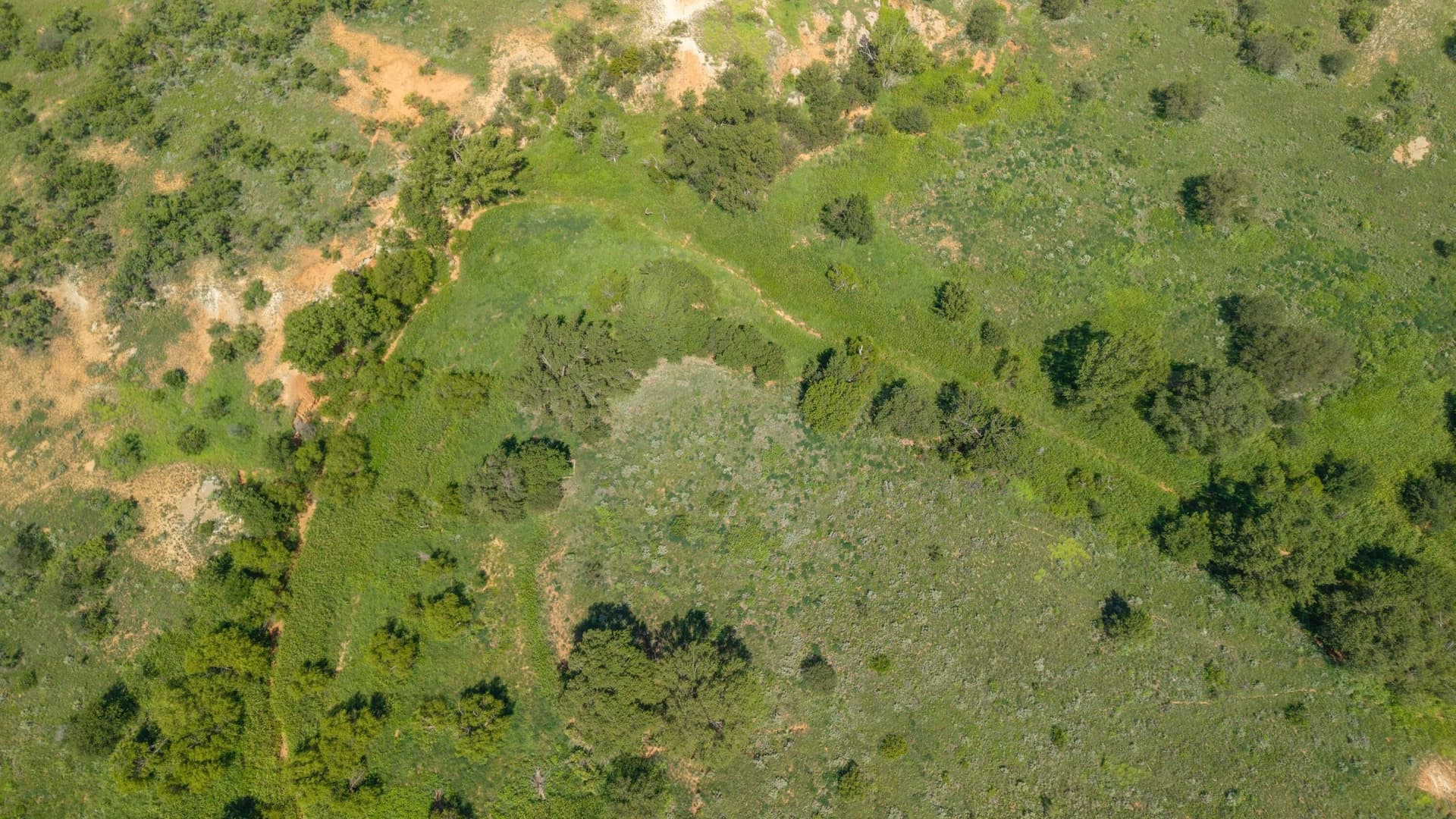 140 acres in Collingsworth County - photo 90