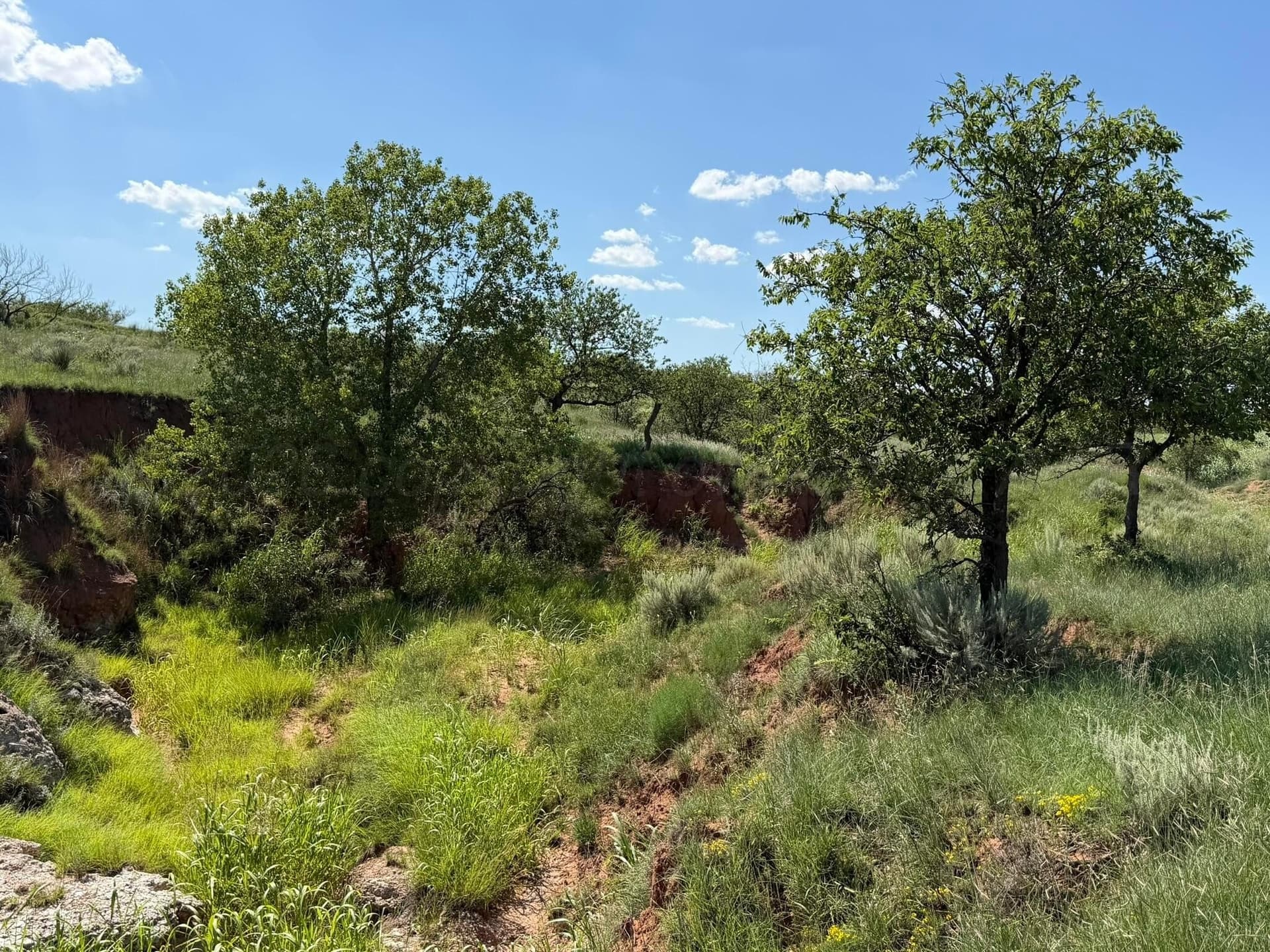 140 acres in Collingsworth County - photo 31