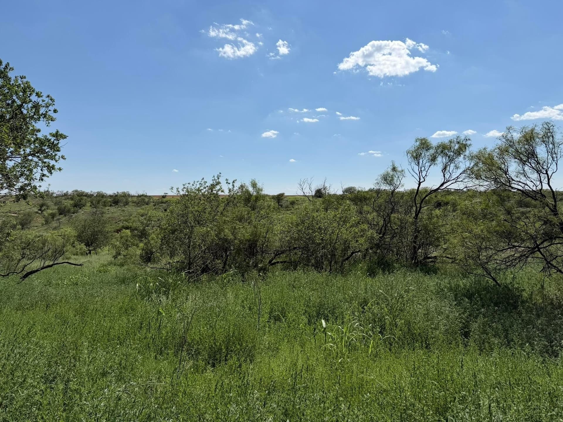 140 acres in Collingsworth County - photo 26