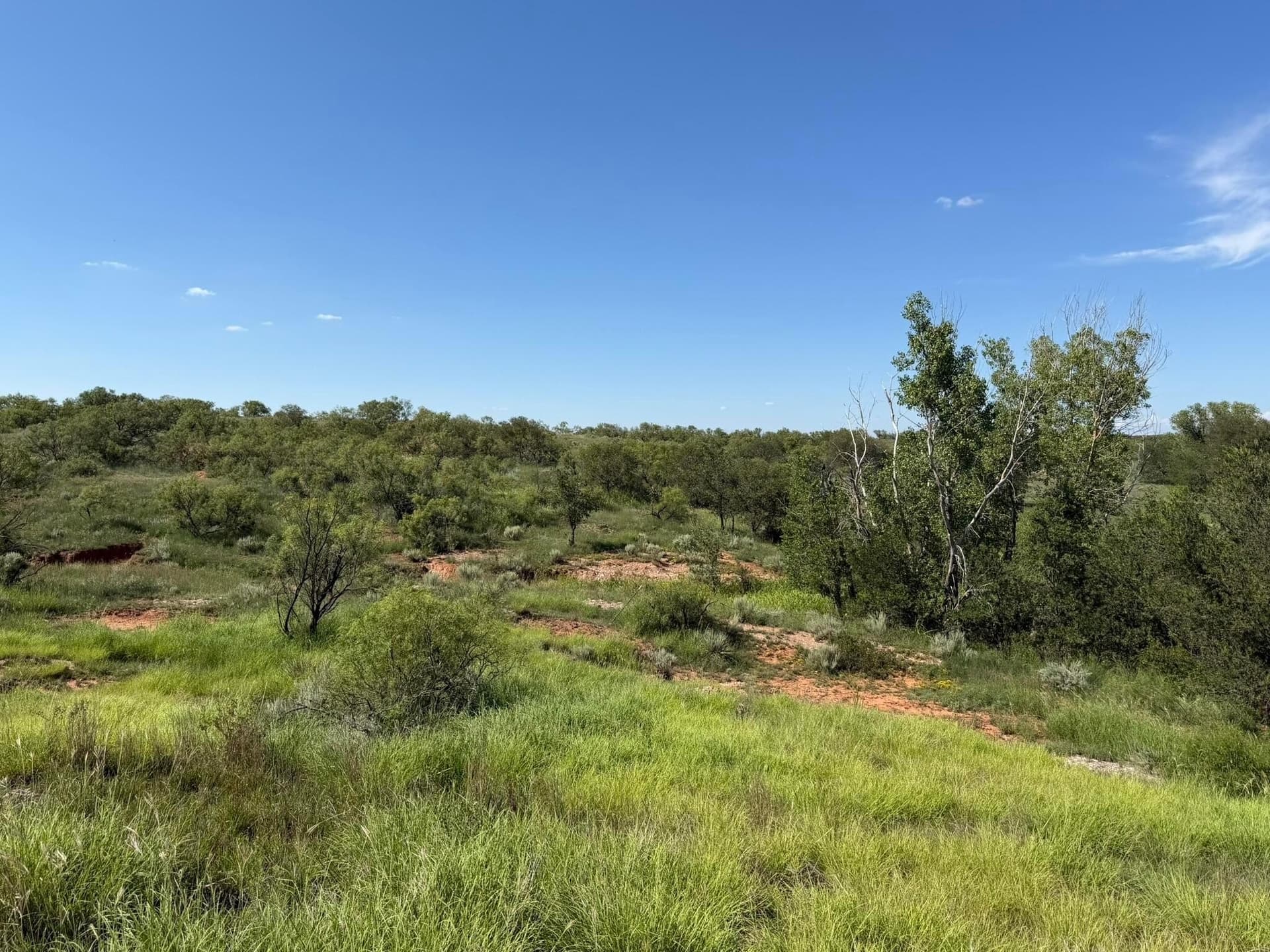 140 acres in Collingsworth County - photo 50