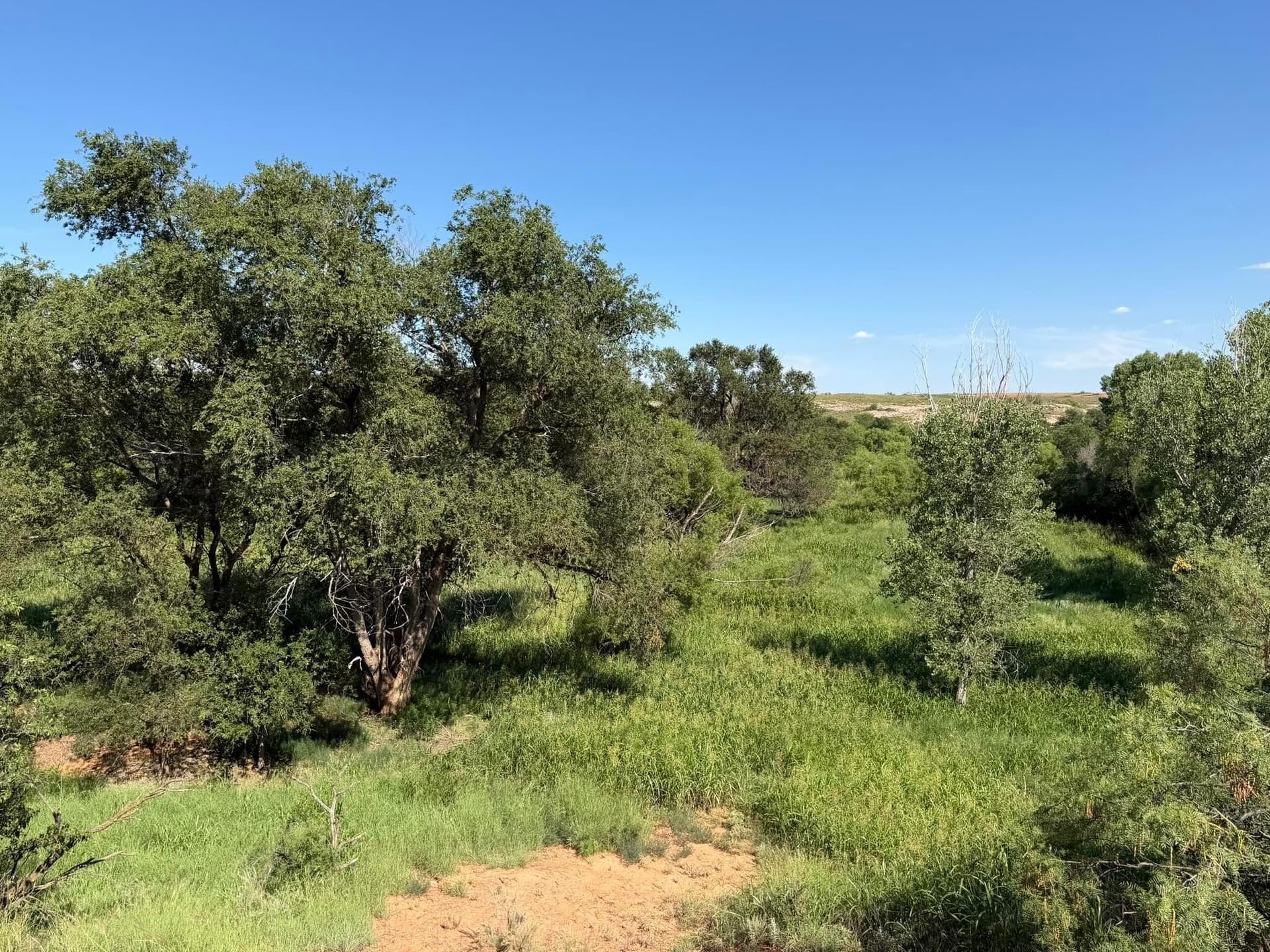 140 acres in Collingsworth County - photo 52