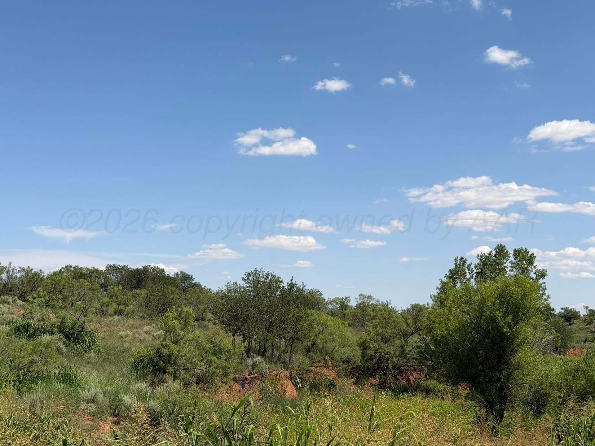 140 acres in Collingsworth County - photo 16