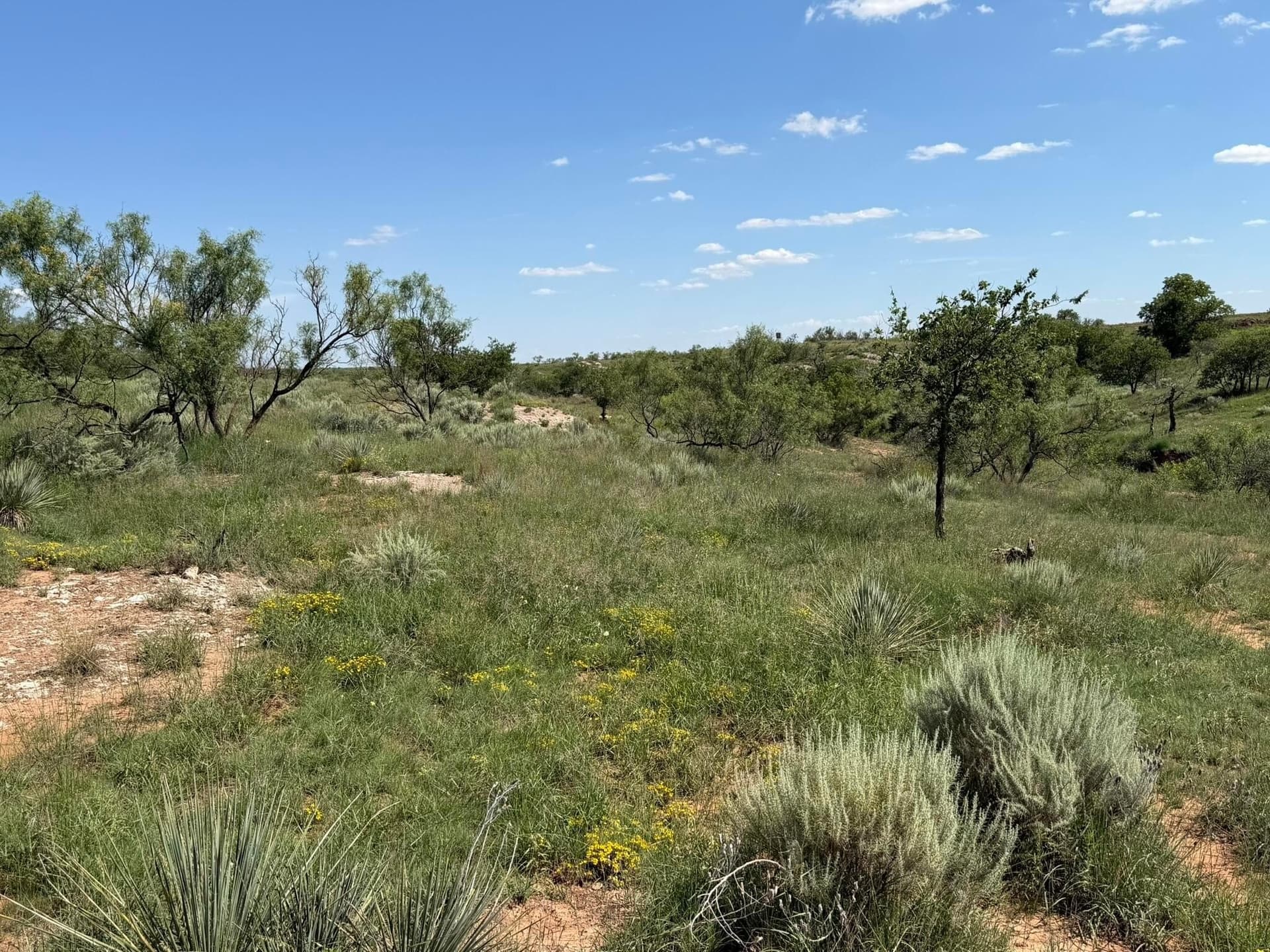 140 acres in Collingsworth County - photo 29